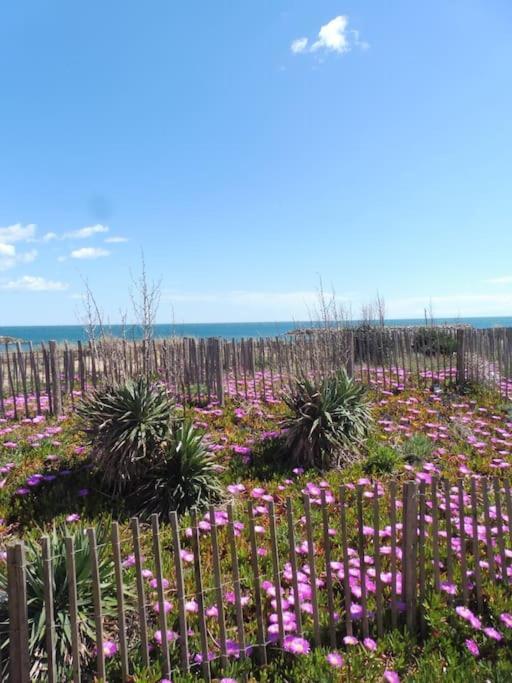 Le Petit Coin De Paradis. Valras-Plage Exterior foto